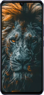 Силиконовый чехол Лев в сумерках для Vivo V21 - 6154u-2368 изображение 