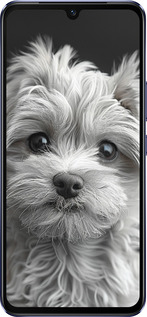 Силиконовый чехол Мальтипу на чорном фоне для Vivo V21 - 6156u-2368 изображение 