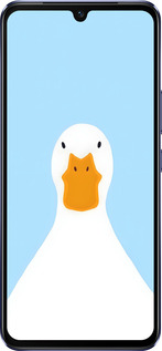 Силиконовый чехол Гусь для Vivo V21 - 6350u-2368 изображение 