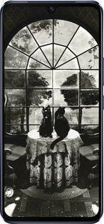 Силиконовый чехол Череп и коты для Vivo V21 - 6432u-2368 изображение 