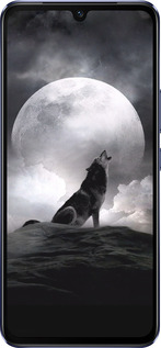 Силиконовый чехол Воющий волк для Vivo V21 - 934u-2368 изображение 