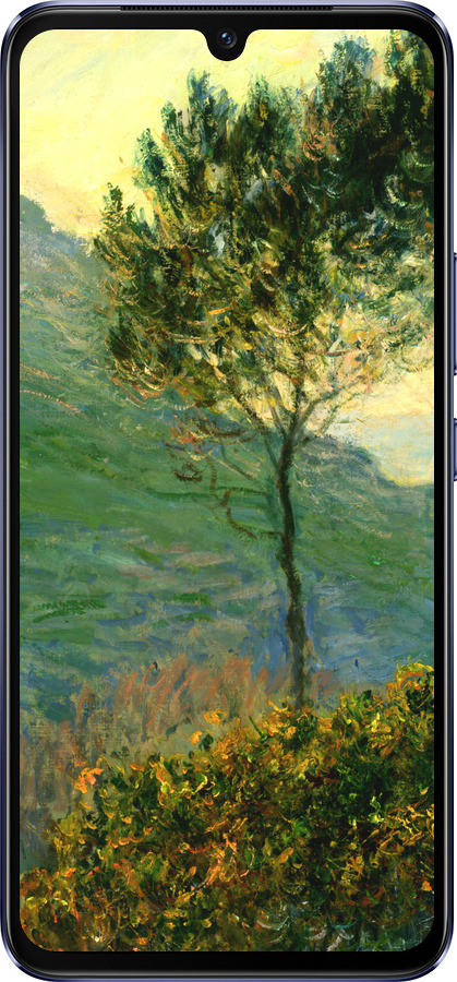 Силиконовый чехол Клод Моне для Vivo V21 - 1193u-2368 изображение 