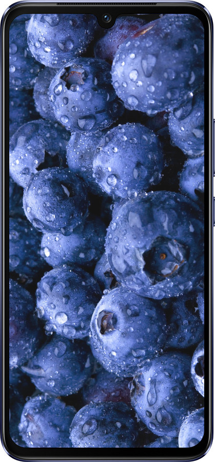 Силиконовый чехол Голубика для Vivo V21 - 4459u-2368 изображение 