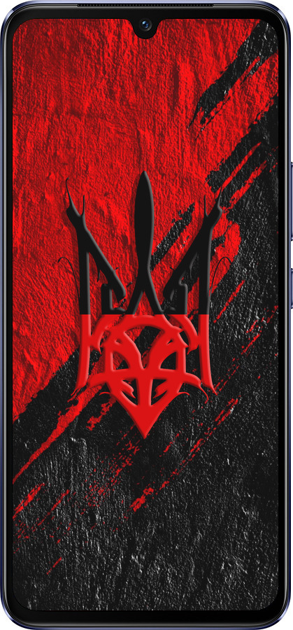 Силиконовый чехол Герб v4 для Vivo V21 - 5293u-2368 изображение 