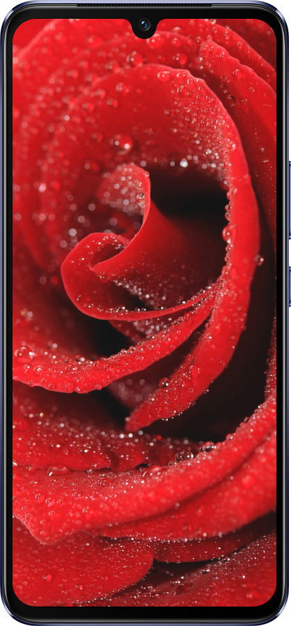 Силиконовый чехол Красная роза для Vivo V21 - 529u-2368 изображение 