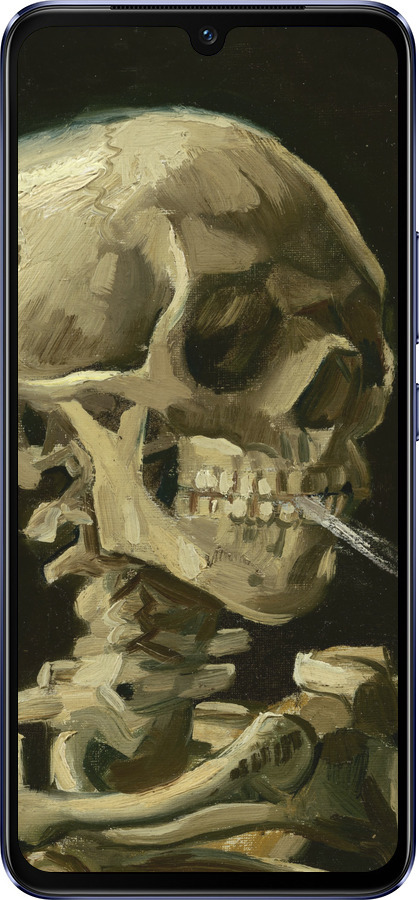 Силиконовый чехол Винсент Ван Гог. Череп для Vivo V21 - 5544u-2368 изображение 