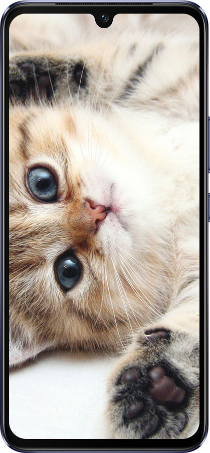 Силиконовый чехол Котик для Vivo V21 - 6024u-2368 изображение 