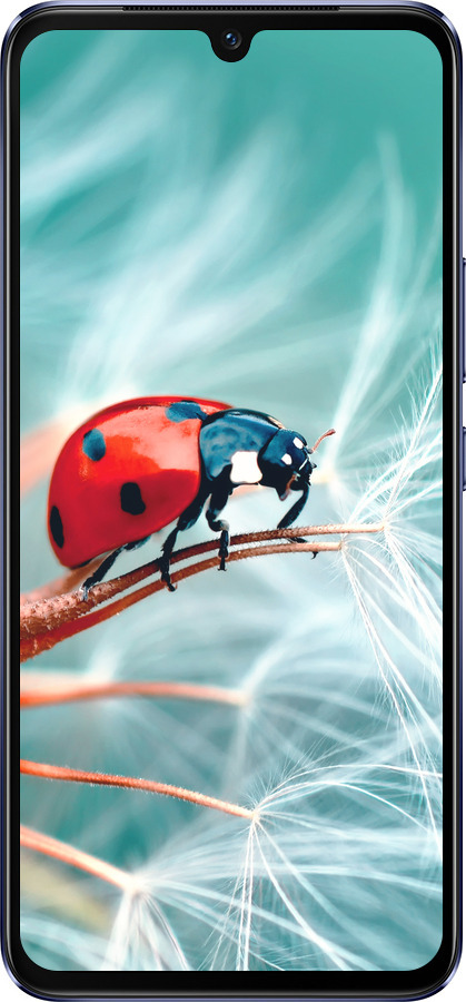 Силиконовый чехол Божья коровка для Vivo V21 - 6049u-2368 изображение 