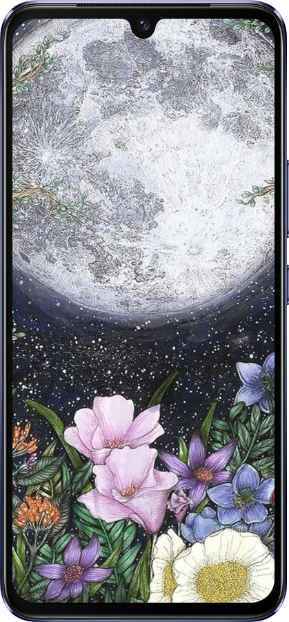 Силиконовый чехол Полночь в саду II для Vivo V21 - 6424u-2368 изображение 