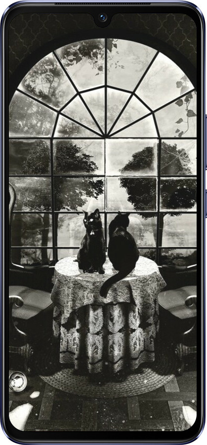 Силиконовый чехол Череп и коты для Vivo V21 - 6432u-2368 изображение 