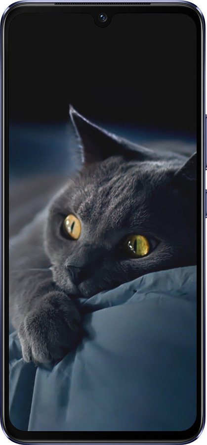 Силіконовий чехол Димчастий кіт для Vivo V21 - 825u-2368 изображение 