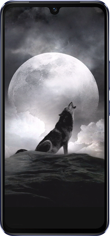 Силиконовый чехол Воющий волк для Vivo V21 - 934u-2368 изображение 