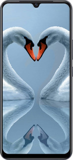 TPU чехол Лебеди для Vivo V21E - 6007b-2375 изображение 