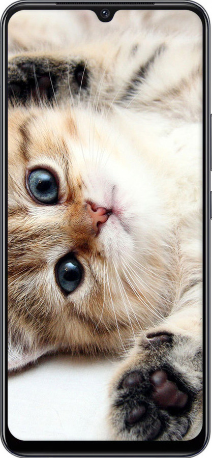 TPU чехол Котик для Vivo V21E - 6024b-2375 изображение 