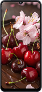 Силіконовий чехол Вишня у шоколаді для Vivo V21E - 6698u-2375 изображение 