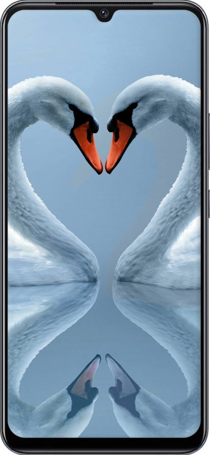 Силіконовий чехол Лебеді для Vivo V21E - 6007u-2375 изображение 