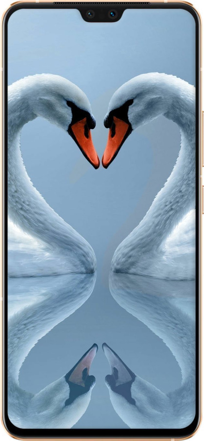 TPU чехол Лебеди для Vivo V23 - 6007b-2642 изображение 
