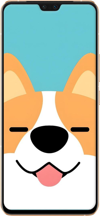 TPU чехол Корги для Vivo V23 - 6280b-2642 изображение 