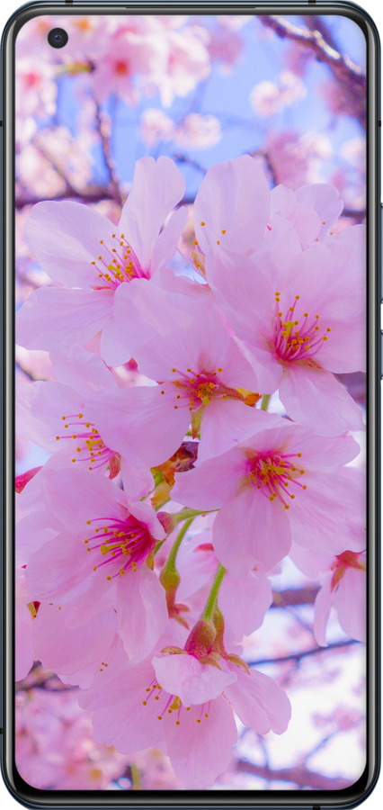 TPU чехол Сакура для Vivo X50 - 6029b-1955 изображение 