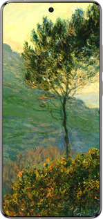 Силиконовый чехол Клод Моне для Vivo X200 PRO - 1193u-3883 изображение 