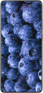 Силиконовый чехол Голубика для Vivo X200 PRO - 4459u-3883 изображение 