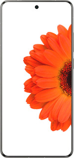 Силиконовый чехол Гербера 1 для Vivo X200 PRO - 4534u-3883 изображение 