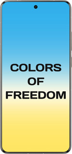 Силіконовий чехол Colors of Freedom для Vivo X200 PRO - 5453u-3883 изображение 