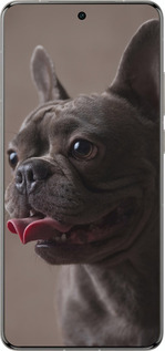 Силиконовый чехол Милый бульдог для Vivo X200 PRO - 5546u-3883 изображение 