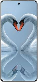 Силиконовый чехол Лебеди для Vivo X200 PRO - 6007u-3883 изображение 