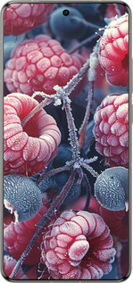 Силиконовый чехол Морозные ягоды для Vivo X200 PRO - 6033u-3883 изображение 