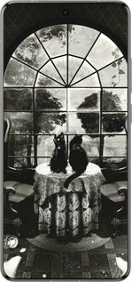 Силіконовий чехол Череп та коти для Vivo X200 PRO - 6432u-3883 изображение 