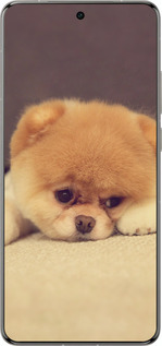 Силиконовый чехол Boo 2 для Vivo X200 PRO - 890u-3883 изображение 