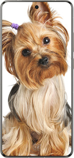 Силіконовий чехол Йоркширський тер'єр із хвостиком для Vivo X200 PRO - 930u-3883 изображение 