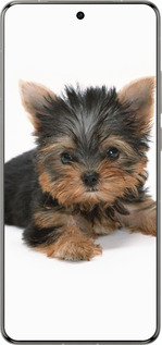 Силіконовий чехол Цуценя йоркширського тер'єра для Vivo X200 PRO - 931u-3883 изображение 