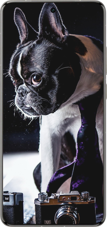 Силиконовый чехол Бульдог-фотограф для Vivo X200 PRO - 142u-3883 изображение 