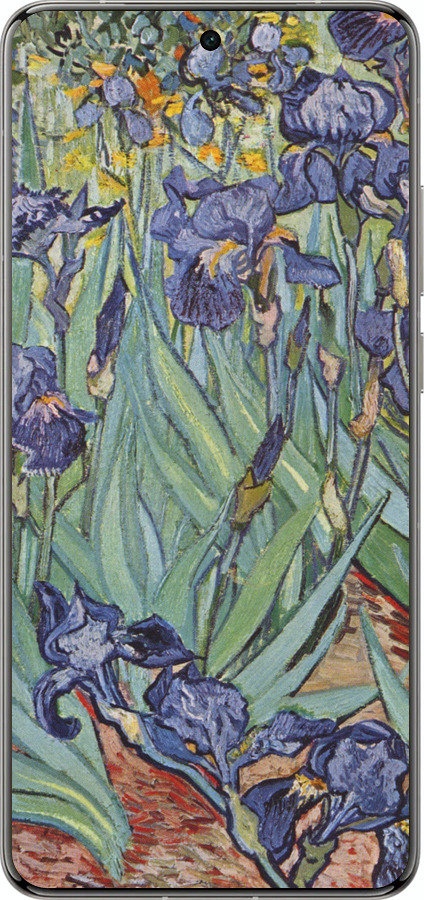 Силіконовий чехол Вінсент Ван Гог. Іриси для Vivo X200 PRO - 161u-3883 изображение 