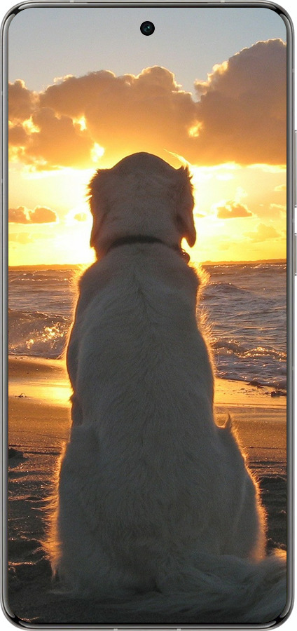 Силиконовый чехол Закат и собака для Vivo X200 PRO - 3966u-3883 изображение 