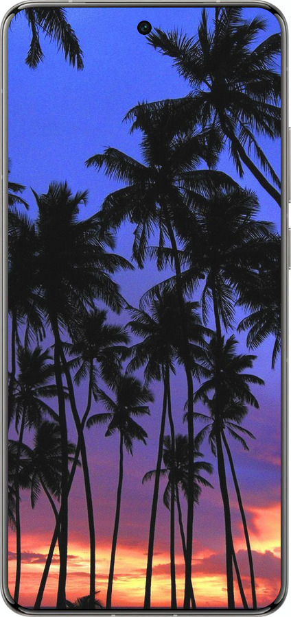 Силіконовий чехол Пальми для Vivo X200 PRO - 4324u-3883 изображение 