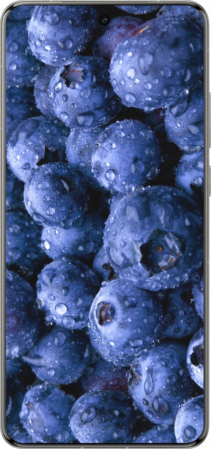 Силиконовый чехол Голубика для Vivo X200 PRO - 4459u-3883 изображение 