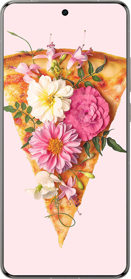 Силиконовый чехол pizza для Vivo X200 PRO - 4492u-3883 изображение 