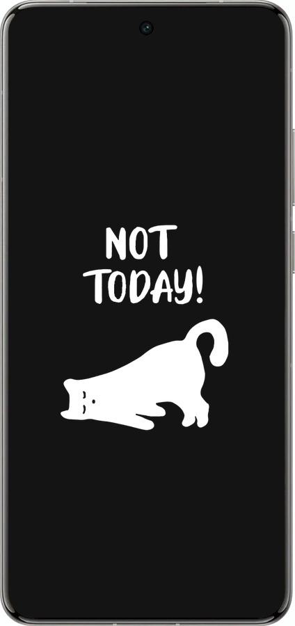 Силіконовий чехол Втомлений кіт для Vivo X200 PRO - 4535u-3883 изображение 