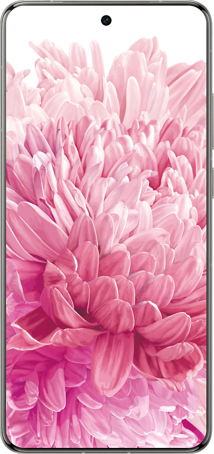 Силіконовий чехол Хризантема для Vivo X200 PRO - 4666u-3883 изображение 