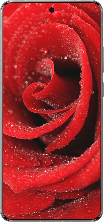 Силиконовый чехол Красная роза для Vivo X200 PRO - 529u-3883 изображение 