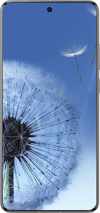 Силиконовый чехол Одуванчик для Vivo X200 PRO - 6005u-3883 изображение 