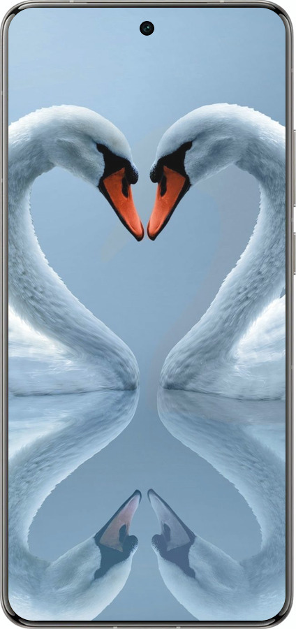 Силиконовый чехол Лебеди для Vivo X200 PRO - 6007u-3883 изображение 