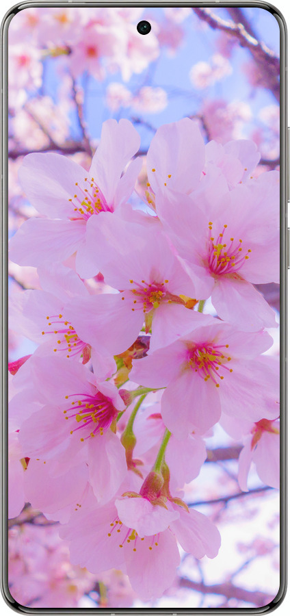 Силиконовый чехол Сакура для Vivo X200 PRO - 6029u-3883 изображение 