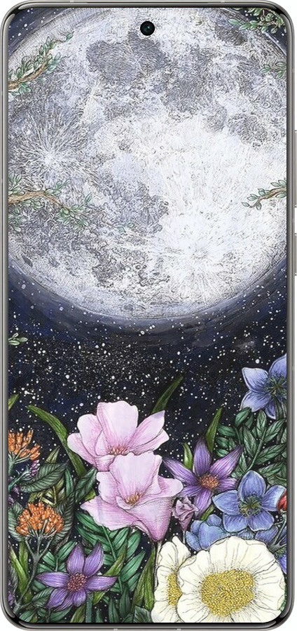 Силиконовый чехол Полночь в саду II для Vivo X200 PRO - 6424u-3883 изображение 