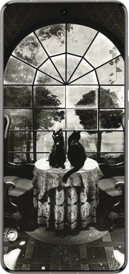 Силіконовий чехол Череп та коти для Vivo X200 PRO - 6432u-3883 изображение 