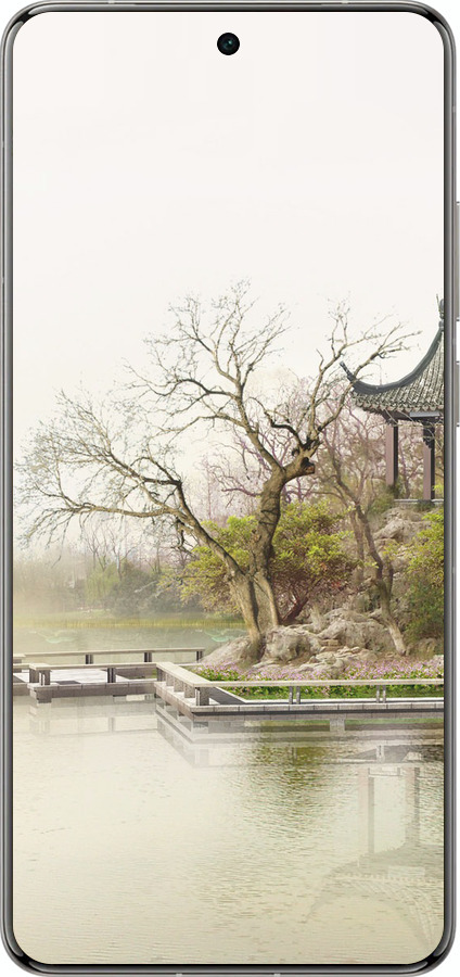 Силиконовый чехол Японский пейзаж для Vivo X200 PRO - 776u-3883 изображение 