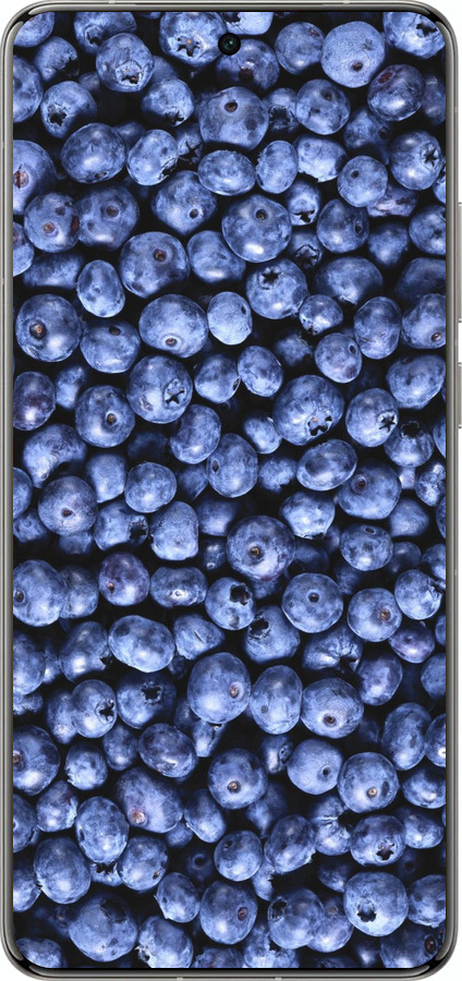 Силіконовий чехол Чорниця для Vivo X200 PRO - 851u-3883 изображение 